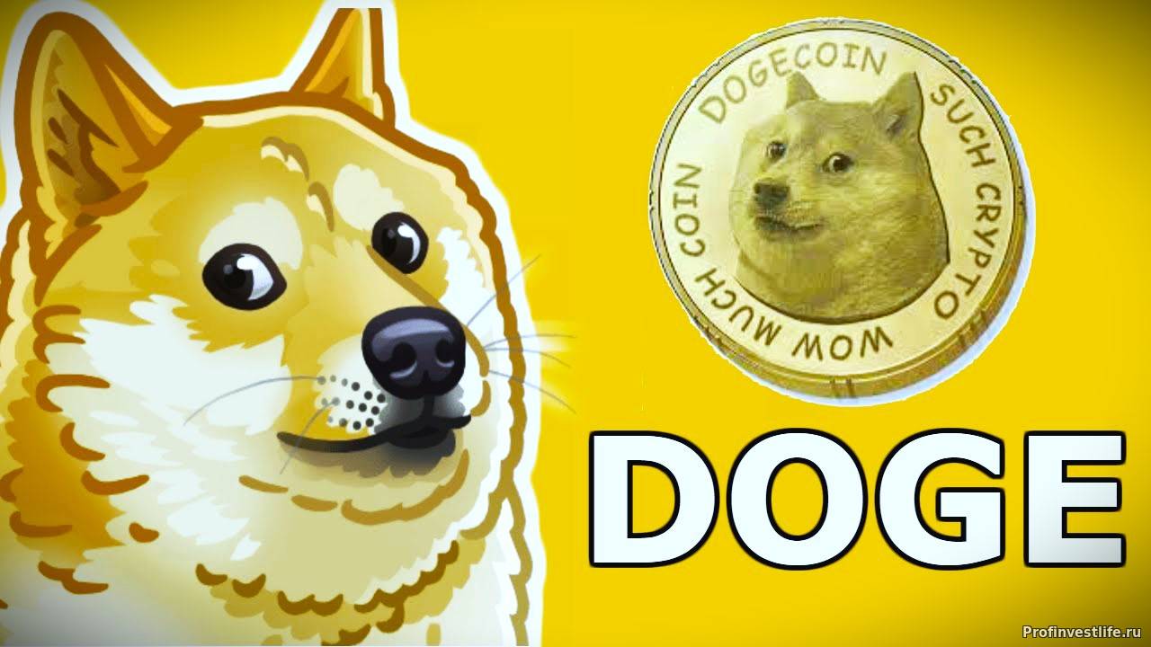 Догикоин, DOGE